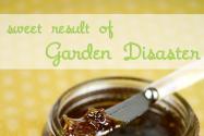Green Tomato and Jalapeno Jam