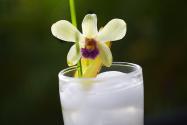 Fresh Lemongrass Ginger Ale