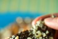 Dark Chocolate & Toffee Macadamia Bark + Steamy Secret #1