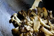 Japanese Mushroom Recipes