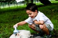 Video: my boys bake Ina Garten’s Country Cake