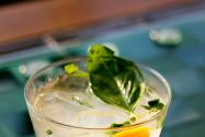 Xanadu Cocktail: Basil and Grapefruit