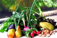 Bounty and Bagna Cauda