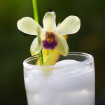 Fresh Lemongrass Ginger Ale 