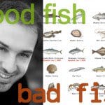 goodfishbadfish