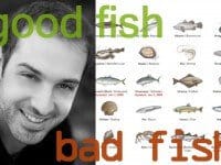 goodfishbadfish