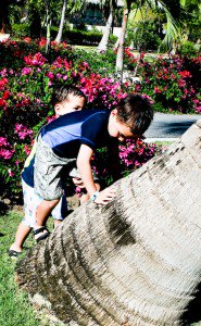 club-med-punta-cana-200 club-med-punta-cana-200