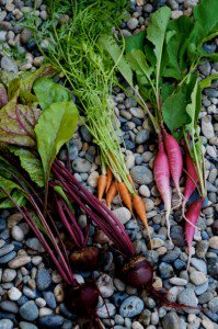 radish-tops-summer-fest