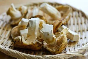 matsutake mushroom, japanese recipe, dobin mushi recipe