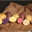 potato