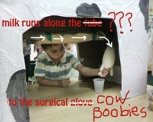 Cow Milk