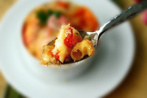 Lobster mac n cheese recipes