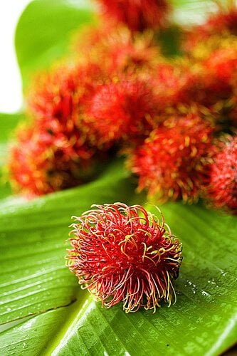 asia fruit