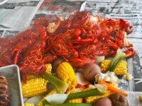crawfish-028
