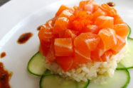 salmon