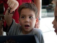 Nathan