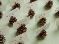 pine-cone