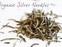 asian-teas-6766-silver-needles
