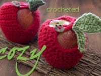 apple-cozy-pattern