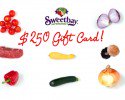 sweetbay-feature