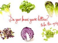 Lettuce-Feature-Image