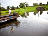 gator-5034.jpg