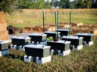 earthbox-garden-how-to-3987-2.jpg