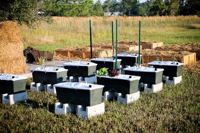 earthbox garden 