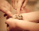 baby-chicks-class-visit-7494.jpg