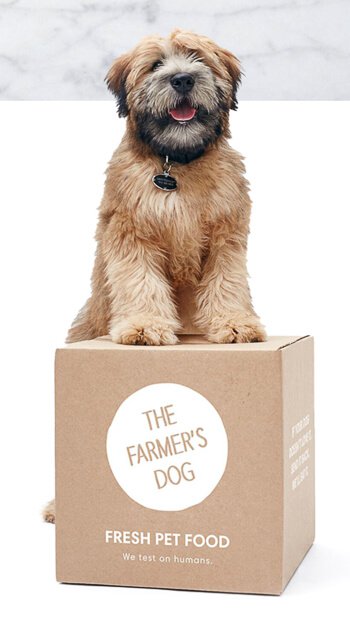 The Farmer’s Dog Review & $100 Giveaway