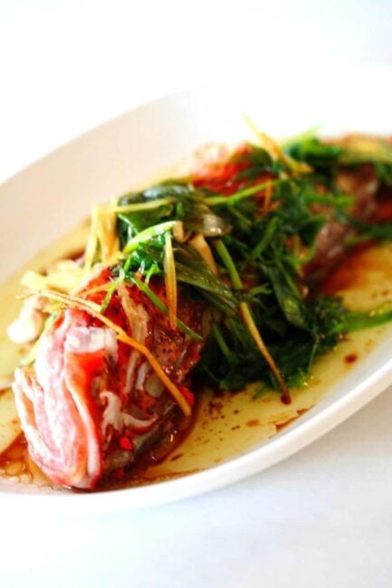 Chinese Steamed Fish Recipe | Steamy Kitchen Recipes