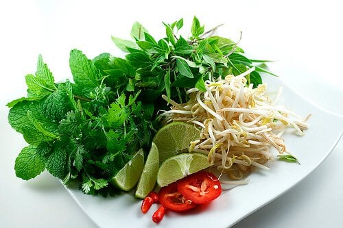 Fresh Herbs for Vietnamese Pho Recipe