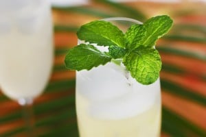 Sparkling Ginger Lime & Mint Cooler