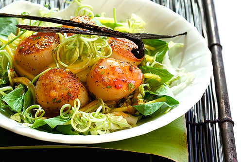 Scallop Salad with Sweet Vanilla Chili Dressing