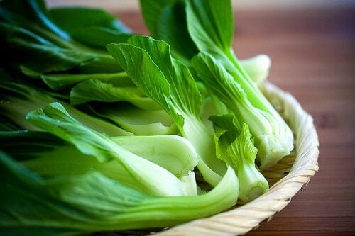 Bok Choy 