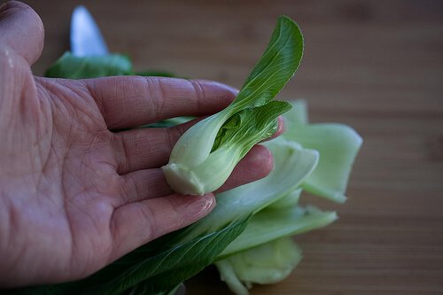  Tender baby bok choy