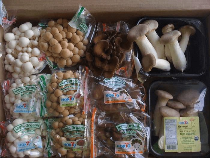 Chinese mushrooms, Enoki,Hon-shimeji and Shitake isolated on a