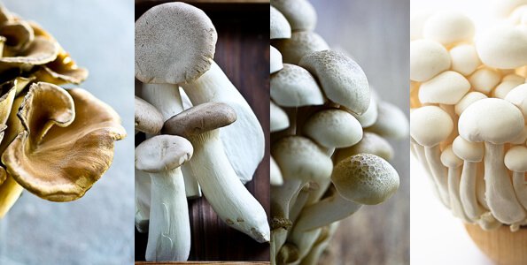 japanese-mushroom-medley