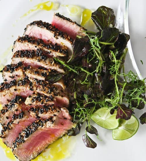 tuna recipes