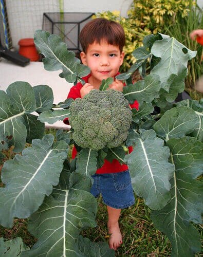 Nathan with broccoli