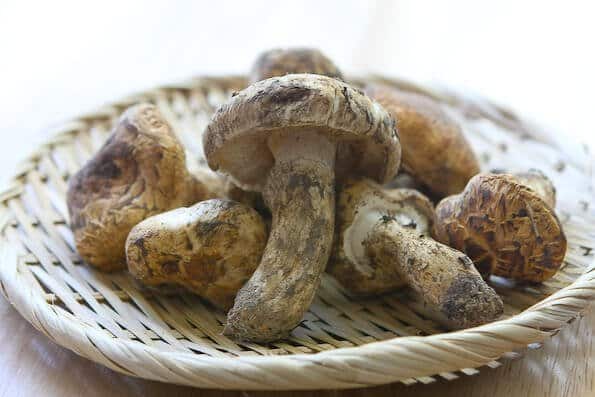 Matsutake Mushroom Dobin Mushi Recipe