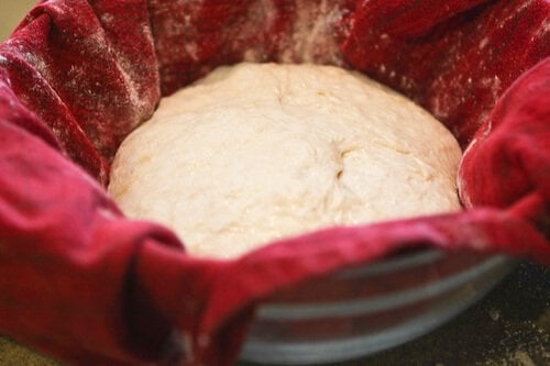 No Knead Baguette Recipe - Set the dough seam down