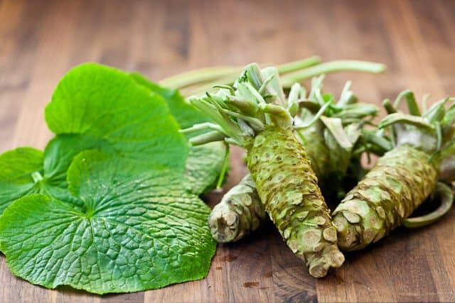 All About Real Fresh Wasabi • Steamy Kitchen Recipes Giveaways