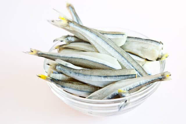 All you need to know about smelts — 'the french fry of the lake' -  Piscataquis Observer