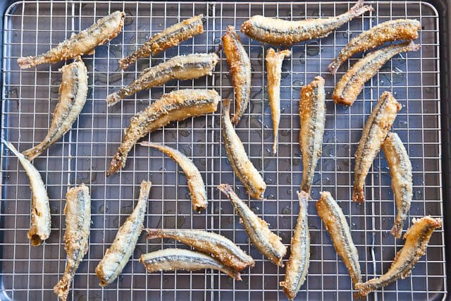 All you need to know about smelts — 'the french fry of the lake' -  Piscataquis Observer