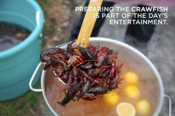 Crawfish Boil Steamy Kitchen Recipes Giveaways