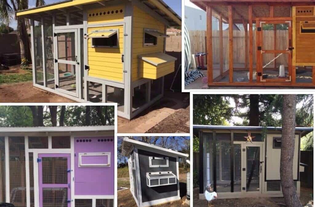User-Submitted Chicken Coop Pictures
