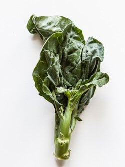 Chinese Broccoli gai lan photo