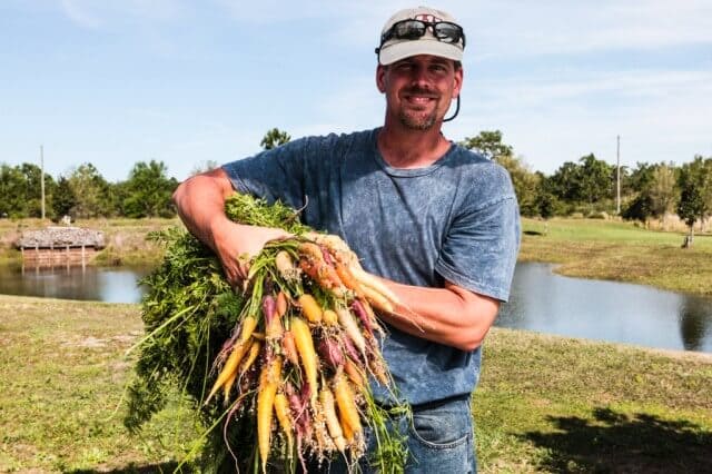 hydroponic-carrots-1467