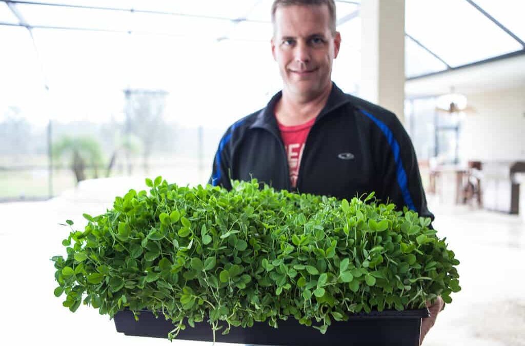 Giveaway: Mercola Grow Microgreens and Shoots Kit